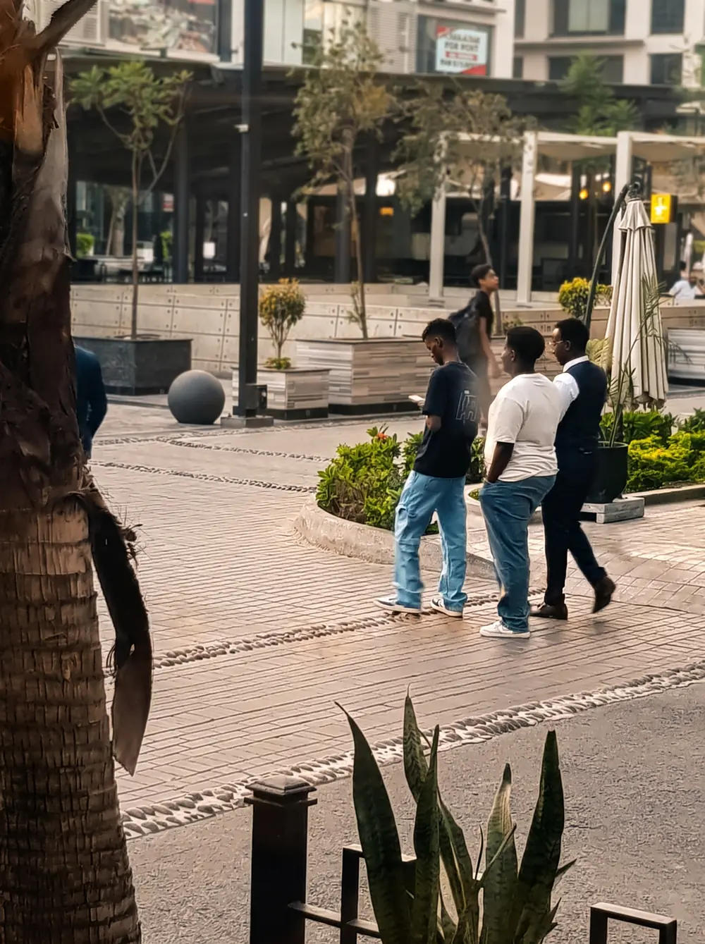 Place piétonne et commerces