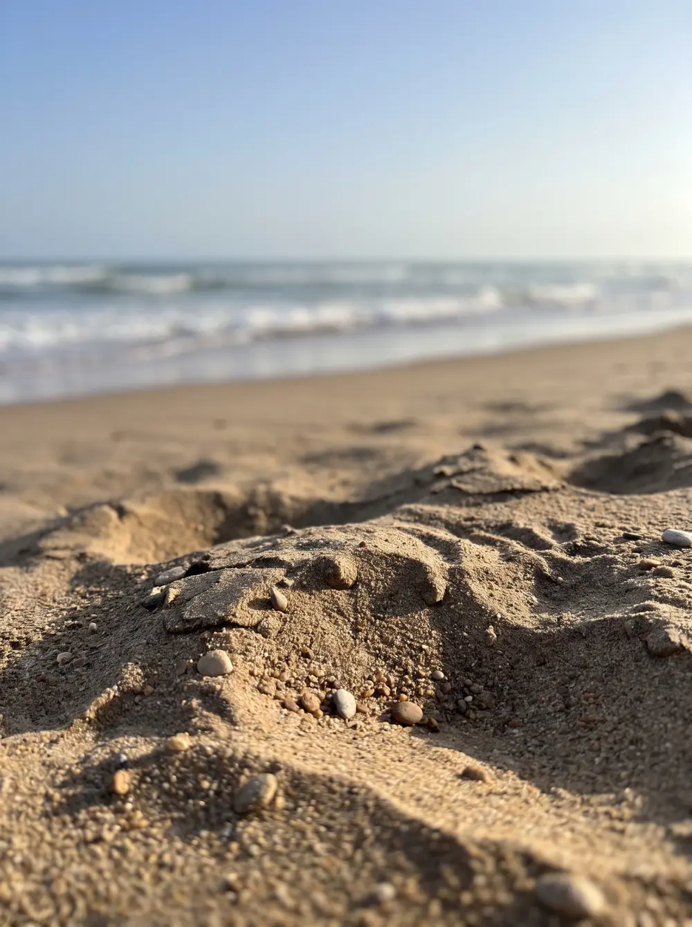 Dunes et vagues